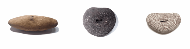 スクリーンショット 2017-08-22 23.23.02.png